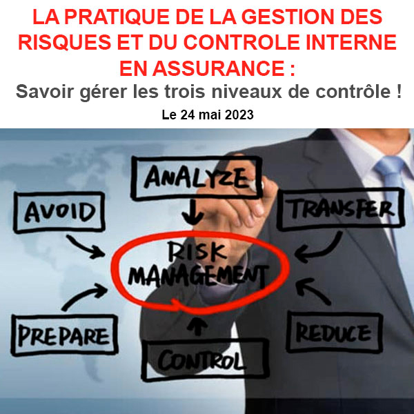 LA PRATIQUE DE LA GESTION DES RISQUES ET DU CONTROLE INTERNE EN ...