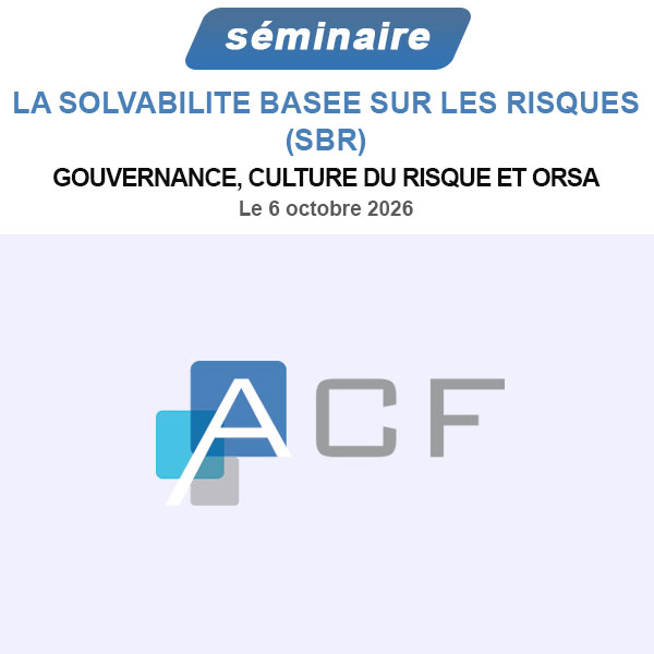 LA SOLVABILITE BASEE SUR LES RISQUES (SBR) : GOUVERNANCE, CULTURE DU RISQUE ET ORSA